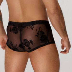 Handmade Noir - Shorty mit Flockenstickerei, transparent
